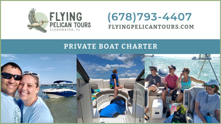Flying Pelican Website 16x9 1 768x432