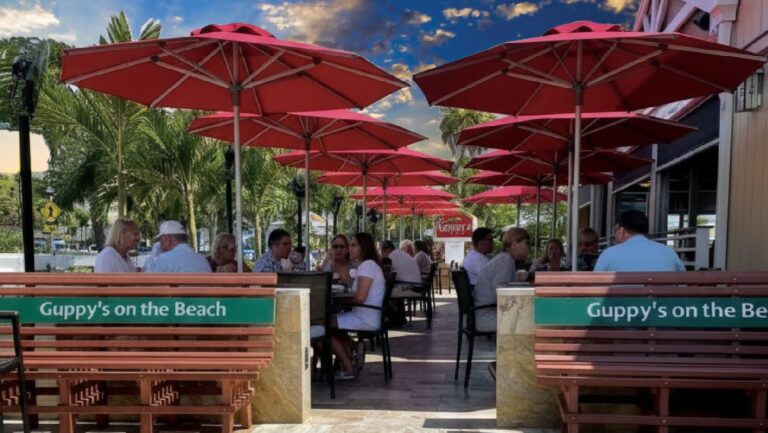 Guppys 2026 800x450 web 768x433