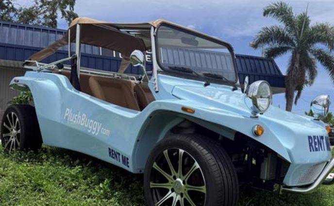 Plush Buggy 2