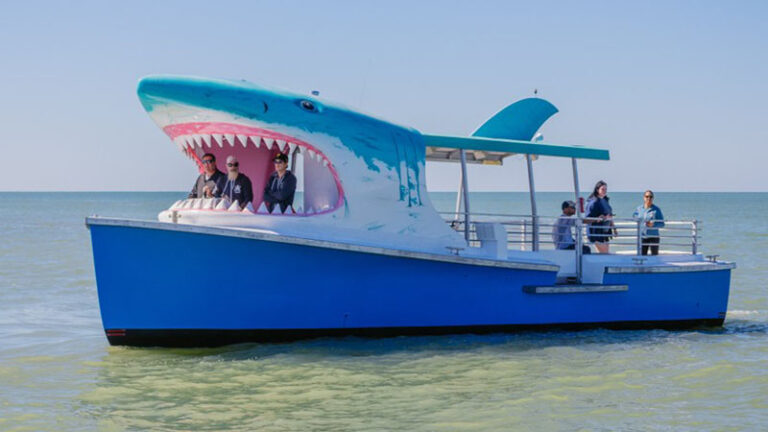 shark boat 7429 low res 16x9 1 768x432