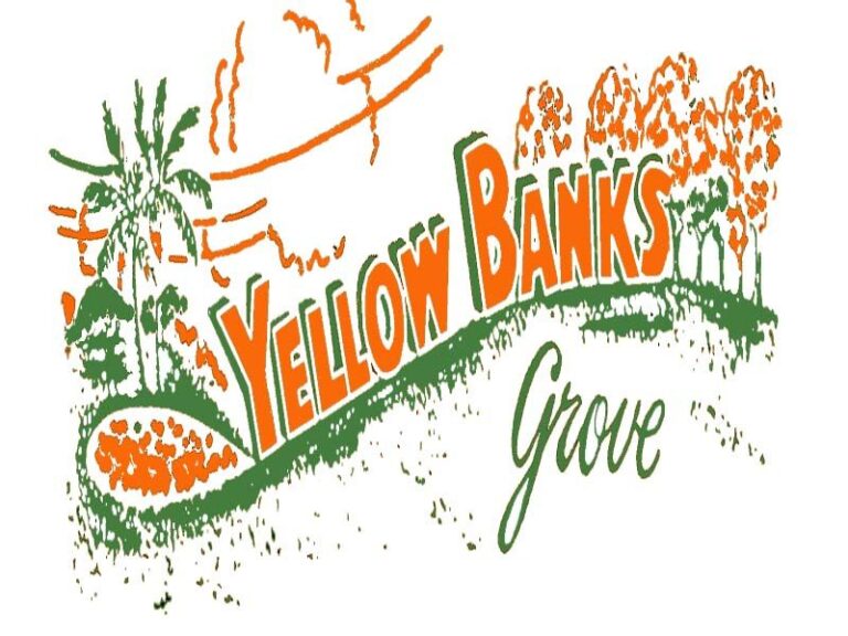 yellow banks 1 768x576